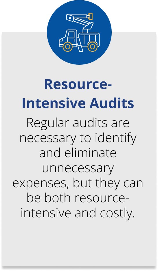 Resource-Intensive Audits with text